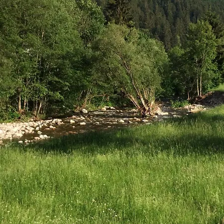 Bed & Breakfast Gaestehaus Adler Albtal *