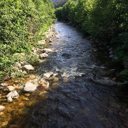 Gaestehaus Adler Albtal